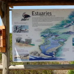 Kabeljous Nature Reserve - Jeffreys Bay