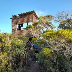 Seekoei River Nature Reserve - Jeffreys Bay