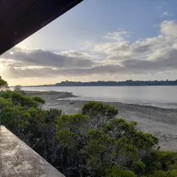 Seekoei River Nature Reserve - Jeffreys Bay