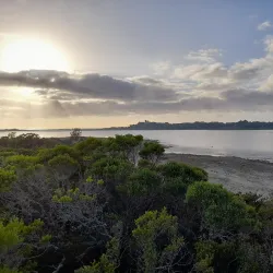 Seekoei River Nature Reserve - Jeffreys Bay