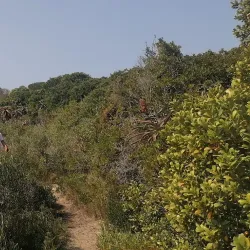 Seekoei River Nature Reserve - Jeffreys Bay