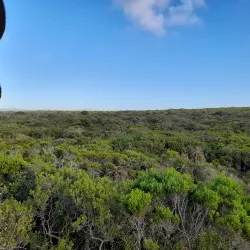 Seekoei River Nature Reserve - Jeffreys Bay