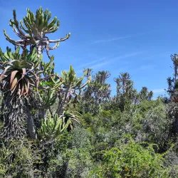 Seekoei River Nature Reserve - Jeffreys Bay