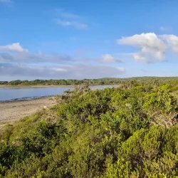 Seekoei River Nature Reserve - Jeffreys Bay