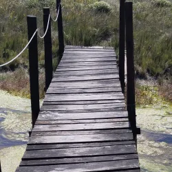 Seekoei River Nature Reserve - Jeffreys Bay