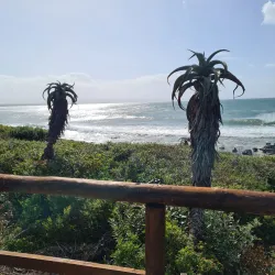 Supertubes Beach - Jeffreys Bay