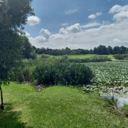 Johannesburg Botanical Gardens - Johannesburg