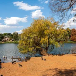 Johannesburg Botanical Gardens - Johannesburg