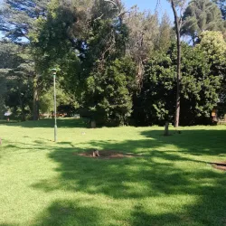 Zoo Lake - Johannesburg