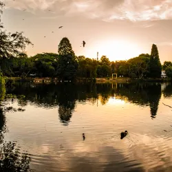 Zoo Lake - Johannesburg