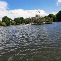Zoo Lake - Johannesburg