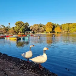 Zoo Lake - Johannesburg