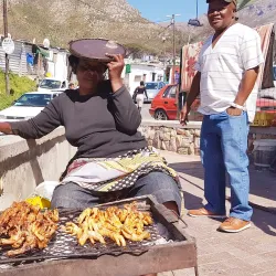 Imizamo Yethu Community Project - Khayelitsha