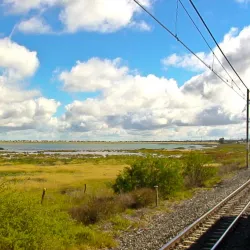 Kamfers Dam Nature Reserve - Kimberley