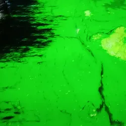 Kamfers Dam Nature Reserve - Kimberley