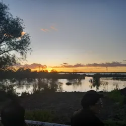 Kamfers Dam Nature Reserve - Kimberley