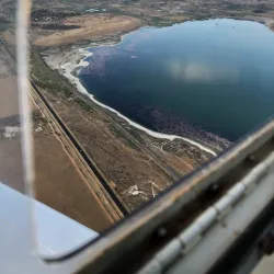 Kamfers Dam Nature Reserve - Kimberley