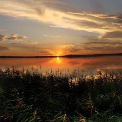 Kamfers Dam Nature Reserve - Kimberley
