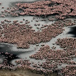 Kamfers Dam Nature Reserve - Kimberley