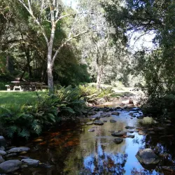 Jubilee Creek Nature Reserve - Knysna