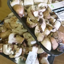 Kroonstad Sports Complex - Kroonstad