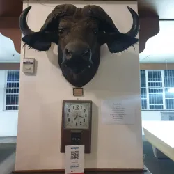 Kroonstad Sports Complex - Kroonstad