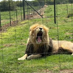 Vals River Nature Reserve - Kroonstad