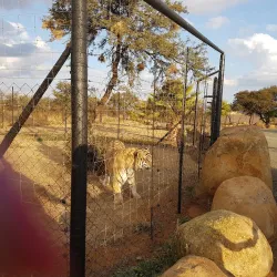 Vals River Nature Reserve - Kroonstad