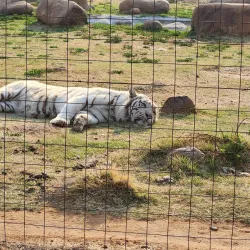 Vals River Nature Reserve - Kroonstad