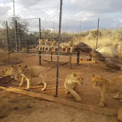 Vals River Nature Reserve - Kroonstad