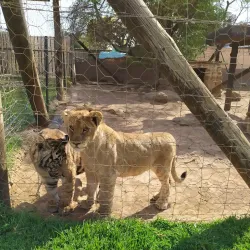 Vals River Nature Reserve - Kroonstad