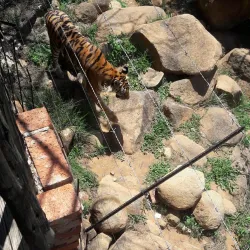 Vals River Nature Reserve - Kroonstad