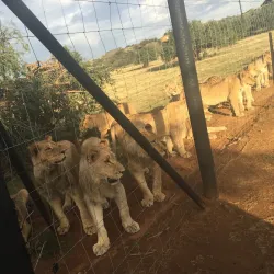 Vals River Nature Reserve - Kroonstad