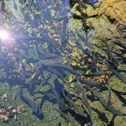 Eye of Kuruman - Kuruman