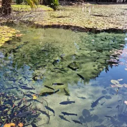 Eye of Kuruman - Kuruman