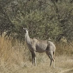 Mabusa Nature Reserve - KwaMhlanga