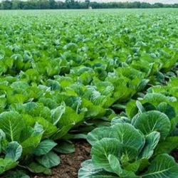 Mpumalanga Tourism Information Center - KwaMhlanga