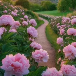 Mpumalanga Tourism Information Center - KwaMhlanga