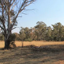 Ndebele Cultural Village - KwaMhlanga
