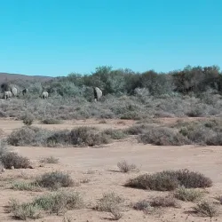 Ladismith Golf Club - Ladismith