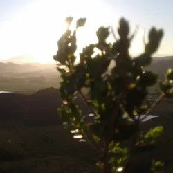 Ladismith Golf Club - Ladismith