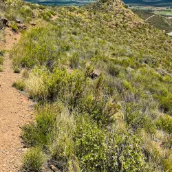 Ladismith Hiking Trails - Ladismith