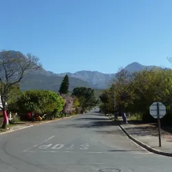 Ladismith Market - Ladismith
