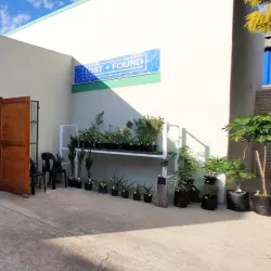 Ladismith Museum - Ladismith