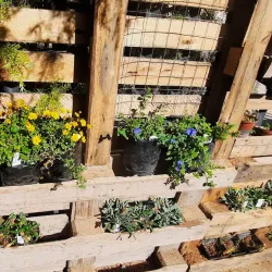 Ladismith Museum - Ladismith