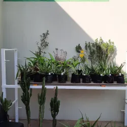 Ladismith Museum - Ladismith