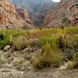 Seweweekspoort Nature Reserve - Ladismith