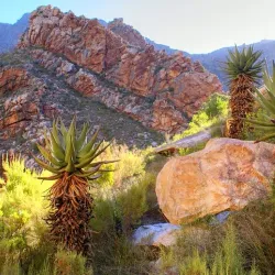 Seweweekspoort Nature Reserve - Ladismith