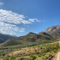 Swartberg Nature Reserve - Ladismith