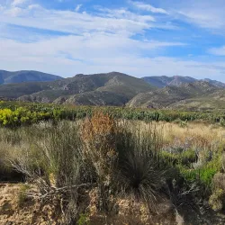 Swartberg Nature Reserve - Ladismith